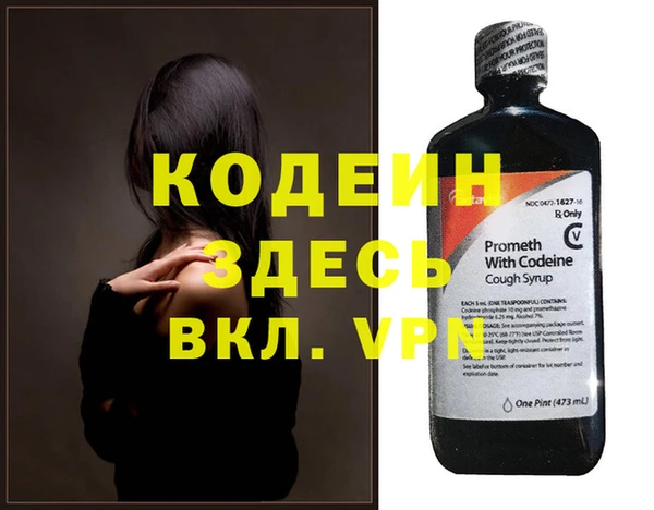 индика Абаза