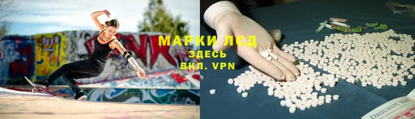 индика Абаза