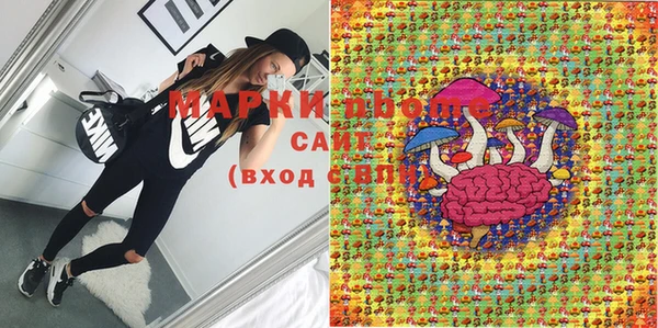 индика Абаза