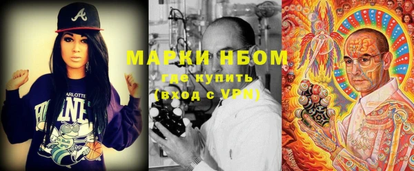 индика Абаза