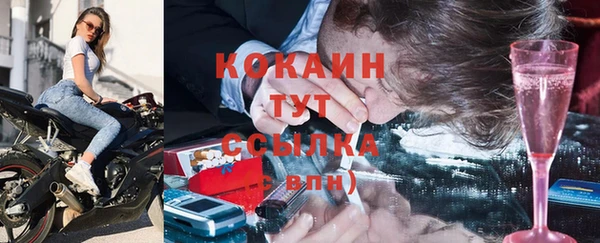 индика Абаза