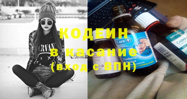 индика Абаза