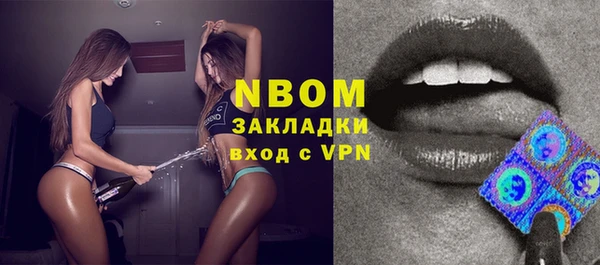индика Абаза