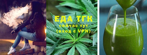индика Абаза