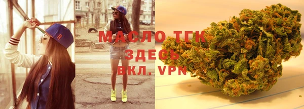 индика Абаза